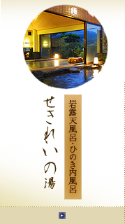 岩露天風呂・ひのき内風呂 - せきれいの湯