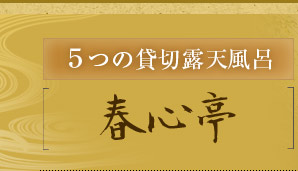 さまざまな湯処をめぐる至福のとき